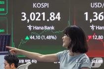 큰손 개미들, 바보 소리 들으면서도 국장서 버텼다