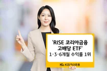 KB자산운용 ‘RISE 코리아금융고배당 ETF’ 1개월 수익률 16%