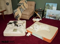 시몬스, 비건 펫 매트리스 'N32 쪼꼬미' 콘래드 서울 입성...프리미엄 반려동물 시장 확대