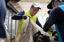 NH농협은행, 충남 홍성군 수해복구 지원…전사적 농촌일손돕기