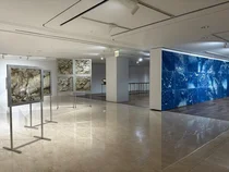 신한은행, 신한 영 아티스트 페스타 ‘Dancing with Index’ 개최