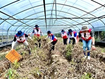 희망브리지, 한국자원봉사협의회와 경남 산청 집중호우 피해 농가 복구 활동