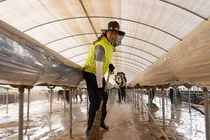 강태영 NH농협은행장, 충남 당진 찾아 복구작업 일손 지원