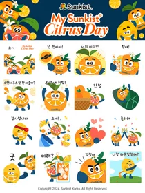 카카오 브랜드 이모티콘 마케팅 '주목'