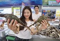 [포토] 금어기 해제...이마트, '가을 햇 꽃게' 760원