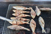 가을 전어 올해 저렴하게 먹는다...꽃게도 민생할인급 가격