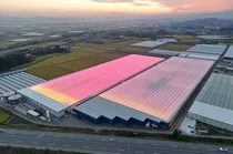 우듬지팜-日 JFE엔지니어링, 스마트팜 판매대리점 계약..일본 '공략'