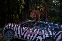 에버랜드,  야간 맹수탐험 '나이트 사파리 트램' 오픈