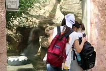 교촌 ‘바르고 봉사단’, 특수학급 학생 맞춤 체험학습 진행