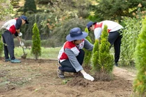 희망브리지, 나무심기 사업 본격 추진...산불 피해 예방 · 생태 복원 실현