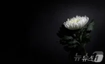 [부고] 임채호(경기도의회 사무처장)씨 장모상