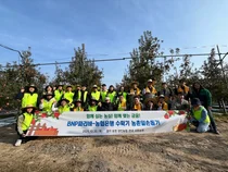 NH농협은행·BNP파리바, 사과 수확 일손 돕기 실시