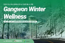 올마이투어·강원도 글로벌 관광객 유치 협력...‘K-웰니스 in 강원’ 프로모션 전개