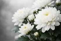 [부고] 남경호(GS건설 건축·주택사업본부 본부장)씨 부친상