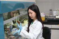 hy, 프로바이오틱스 'HY7017' 개별인정형 기능성 원료 인정