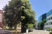 한미약품, 멕시코 산페르와 GLP-1 비만신약 수출 계약