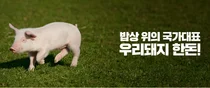 국산 돼지 '한돈' 투자증권 나온다