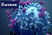 에이프릴바이오, '임원들 진짜 몰랐네'..임원 매도 16% 급락 하룻만에 대반전