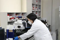 hy, 특허 유산균 ‘HY2782’ 포스트바이오틱스 효과 국제학술지 게재