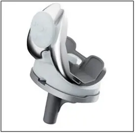 FDA 승인을 받은 PNK 인공관절 (사진. 연세사랑병원)