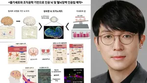 연세대 조승우 교수, 줄기세포·조직공학 기반 고도화된 '인공 뇌' 구현.. '이달의 과학기술인상'