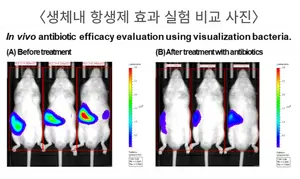 실험동물 불필요한 신약후보물질 유효성 평가기술 개발 