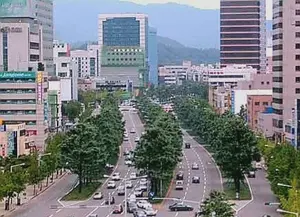 Daegu City will establish a Smart Management System for Roadside Trees