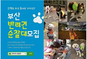 반려견 산책+방범 순찰 
