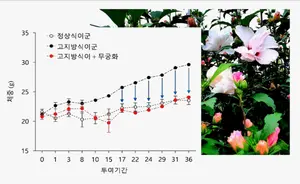 'K-무궁화' 
