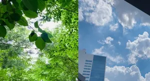 환경보호에 46조 지출..GDP의 2.39%