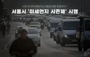 수도권+부산+대구에서 5등급차량 운행시 과태료