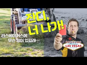 라스베이거스에서 잔디가 사라지는 이유는?