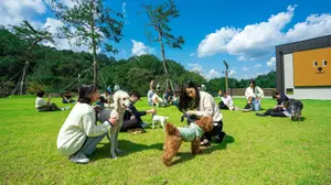 더존ICT그룹, 반려견 테마파크 '강아지숲' 그랜드 오픈