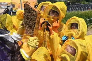 포스코이앤씨, 어린이와 함께하는 꿀벌 축제 'Happy 벌's Day' 진행