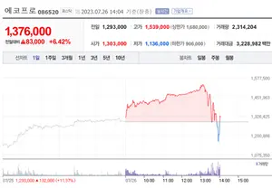포스코, 에코프로..오후 1시7분에 쏟아진 매물, 비포장도로 구간 진입