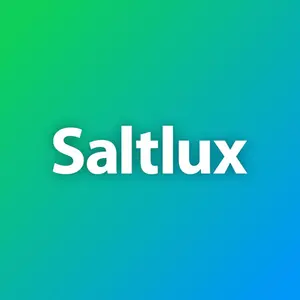 솔트룩스, AI 자회사 플루닛 50억원 투자유치
