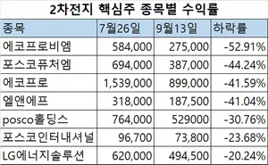 반토막 난 2차전지...2차전지 몰빵 ETF도 비명