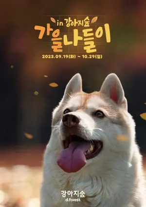 강아지숲, ‘가을나들이’ 축제 개최