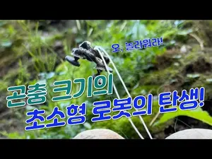 곤충 크기의 초소형 로봇의 탄생
