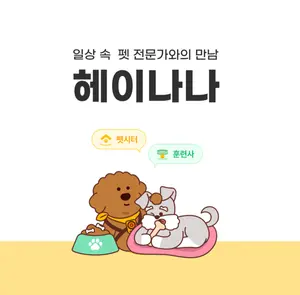 롯데정보통신, 전문 펫시터 중개 앱 ‘헤이나나’ 15만 회원 돌파