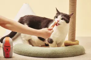 동아제약, 반려동물 브랜드 ‘벳플’ 론칭