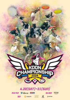 디스크도그 대회 ‘KDDN 챔피언십 2024’ 강아지숲서 열려