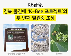 KB금융, 경북 울진에 2번째 밀원숲 조성