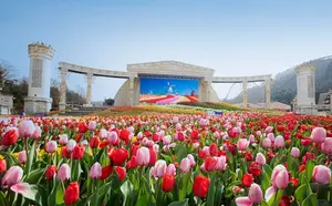 네덜란드 대사, 에버랜드 튤립축제 방문해 소통