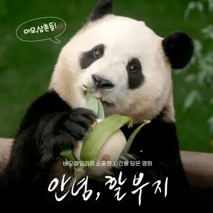 푸바오와 못 다한 이야기 '안녕, 할부지' 극장 개봉