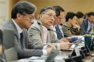 LH, 헤알화표시채 3800억 추가 발행