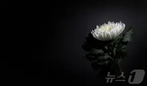 [부고] 조중석(이스타항공 대표)씨 모친상