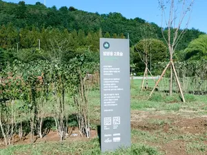 서울 난지한강공원에 ‘임영웅 2호숲’ 생겼다