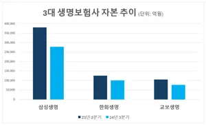 생명보험 톱3 자본 15조 넘게 줄어..3분기 45.6조원