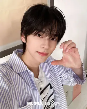 [디시트렌드] 